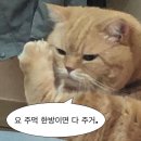 24년 4/4분기