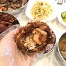 금바우 이미지