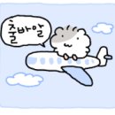 ㈜코끼리렌트카 | 아이와 울릉도 여행 천부해중전망대 비오는 날 울릉도 실내 가볼만한곳