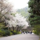 4월 17일(수) 서울야등 남산야등 이미지