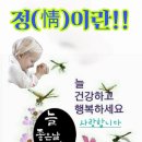 정(情) 이미지