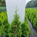 태림농장 이미지