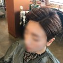 빈스헤어 이미지