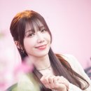 러블리핑크