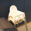 황금돼지구이 이미지