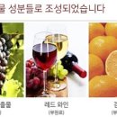 새열린온누리약국 이미지