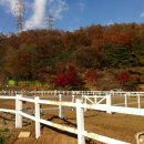 승마랜드 이미지