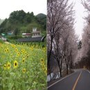 칠갑산축산 - 서구 도마4길 66 | 칠갑산축산