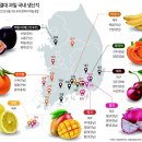 향기가있는과일