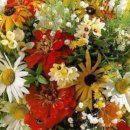 블랙베리마켓 이미지