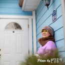 티하우스키즈펜션 이미지