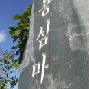 용심경로당 Daum카페