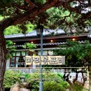장유 대청계곡 홍차 전문 카페, 마리봉포레 방문 솔직후기｜1인 1음료 필수, 샘플 시향과 아늑한 지하 공간
