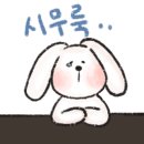 팰리스뷰티헤어