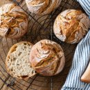 독일인학교 이미지