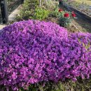 들녘농장 이미지