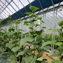 김병대 농장 이미지