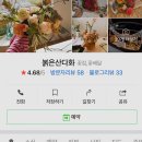 붉은산다화 이미지