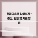 인덕원동은정형외과의원 | 허리디스크 알아보기 - 증상, 원인 및 치료 방법