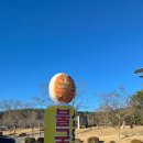 불국당십원빵 이미지