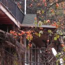 환상의 추억 이미지