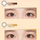 일진콘택트렌즈 | [으뜸50안경] 렌아 원데이 콘택트 렌즈 브라운 색상