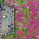 동산관광주 이미지