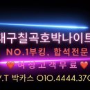 호박나이트 이미지