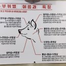 월성상회 이미지