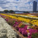 힐링정원 이미지