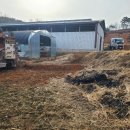 관정목장 이미지