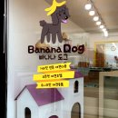 도그애견샵 이미지