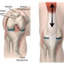 서울제일한방병원 이미지