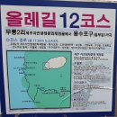제주 올레길 12코스 이미지