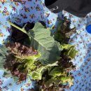 화도농장 이미지