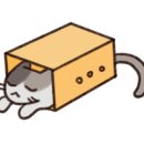 모실 수영장 이미지