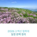 단양읍 상진리 어린이 교통공원 | 한눈에 정리: 2026 소백산 철쭉제 일정 완벽 정리