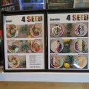 4SEED