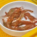 햇님활어 | 속초여행 대포항수산시장 햇님활어 믿고 먹는 해산물 맛집