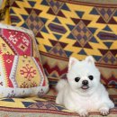 라벨르 스파 펜션 이미지