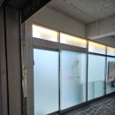 비숑다움 이미지