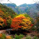 강남무도장(2) 이미지