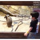 아이랑갈만한곳 : 평택캐니언파크