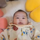 코끼리빠 네이버블로그