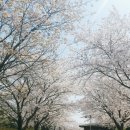 신석체육공원 입구 이미지