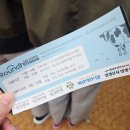 [평창 가볼만 한 곳] 초등학생과 어린이날에 함께하는 대관령 삼양양떼목장(삼양라운드힐) 가족여행