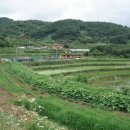 민들레친환경 이미지