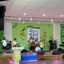 파양초등학교 이미지