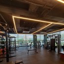 짐플레이스 이미지