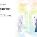 ＜29일차＞1/29(월)-욥기 1장-5장 (365일 성경1독) 이미지